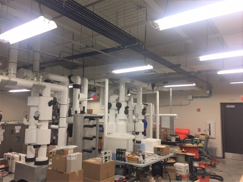 Another Mechanical Room Upgraded with Future Controls, Inc. Future